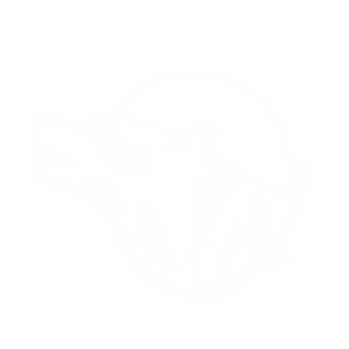spiritus systems