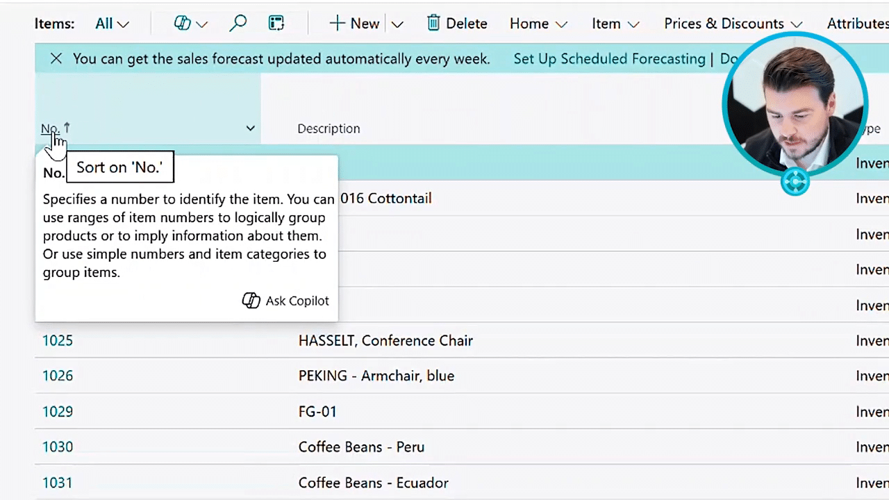 Dynamics 365 Business Central Views and Filters
